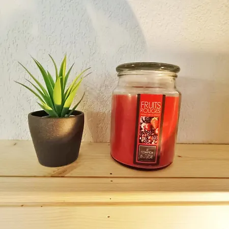 Apartamento La Maladeta, T2, Wifi, Ascenseur, Casier à Skis, 4 Personnes