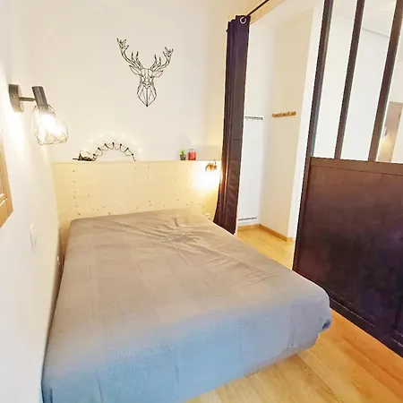 Apartment La Maladeta, T2, Wifi, Ascenseur, Casier A Skis, 4 Personnes